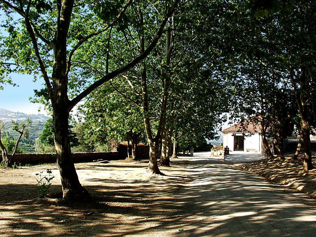 סברוסה Casa De Vilarinho De S. Romao מראה חיצוני תמונה